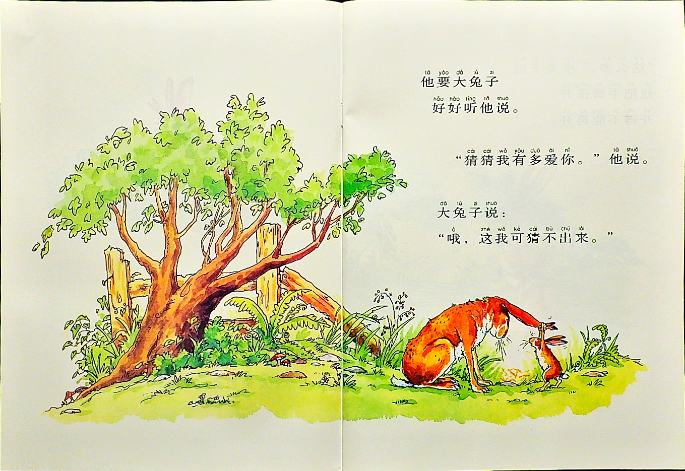 猜猜我有多爱你 (05),绘本,绘本故事,绘本阅读,故事书,童书,图画书,课外阅读